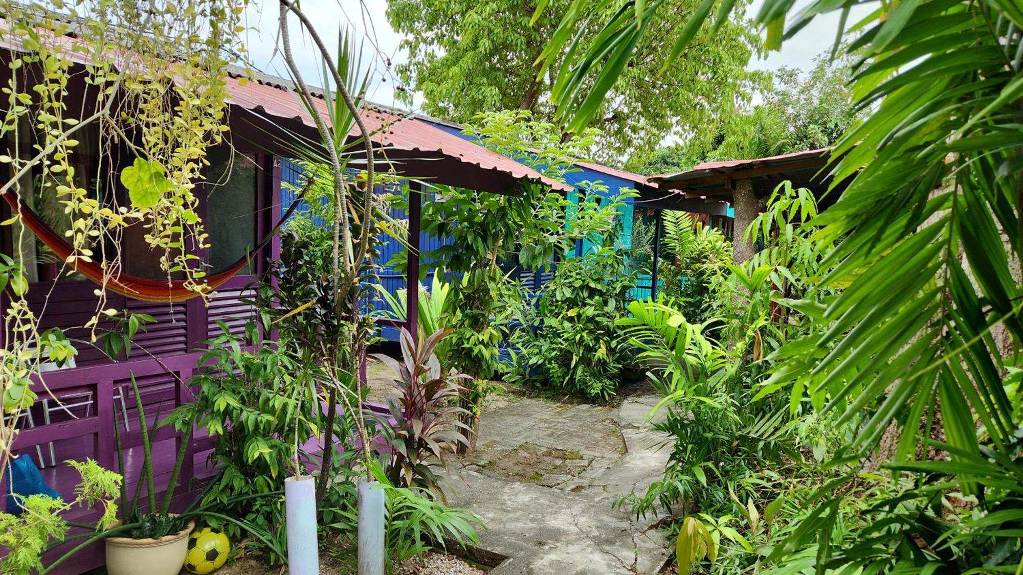 פנתאי צנאנג Gecko Guesthouse מראה חיצוני תמונה