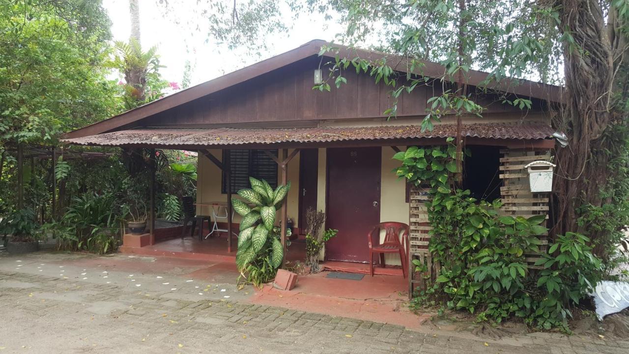 פנתאי צנאנג Gecko Guesthouse מראה חיצוני תמונה